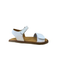 Blanditos CRETA
