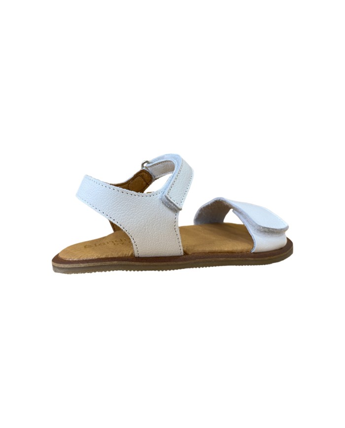 Blanditos CRETA
