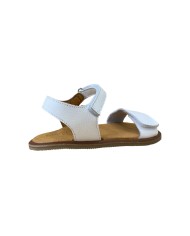 Blanditos CRETA