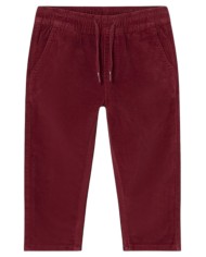 2537 PANTALON MICROPANA
