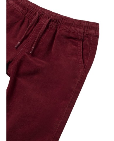 2537 PANTALON MICROPANA